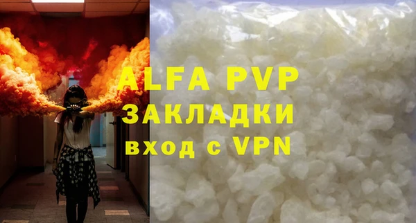 индика Балахна