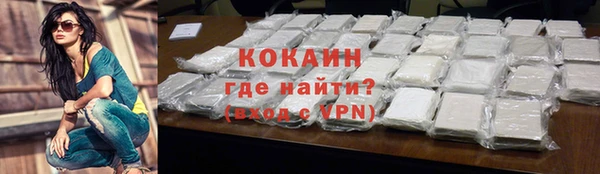 твердый Богородицк