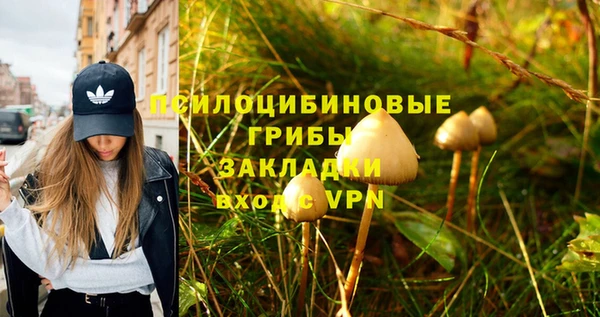 гидра Балабаново