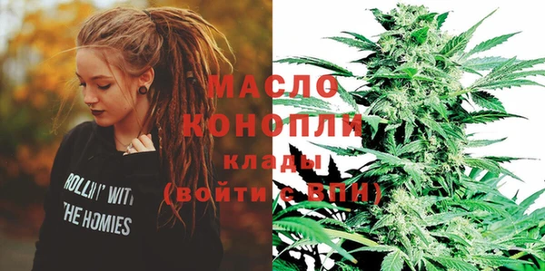 индика Балахна