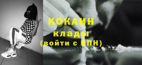 крисы Баксан