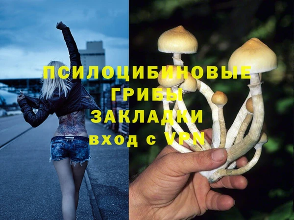 крисы Баксан