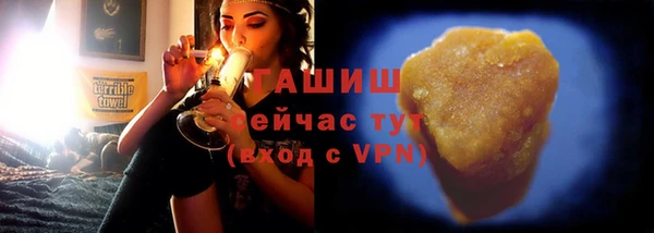 индика Балахна