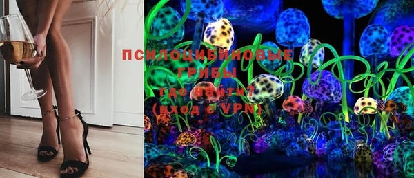 твердый Богородицк