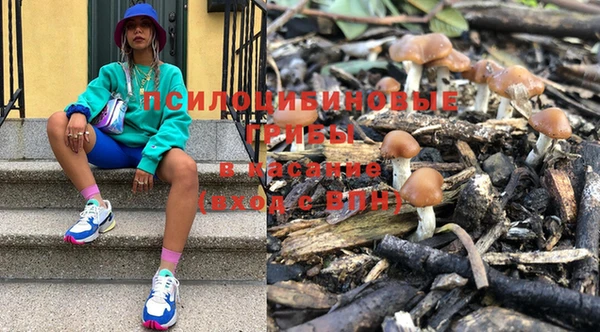 крисы Баксан