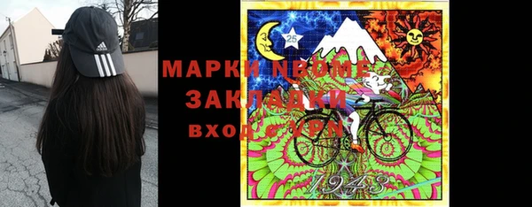 крисы Баксан