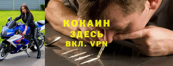 крисы Баксан