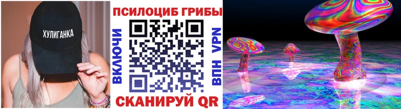 Псилоцибиновые грибы ЛСД  продажа наркотиков  кракен вход  Высоковск 